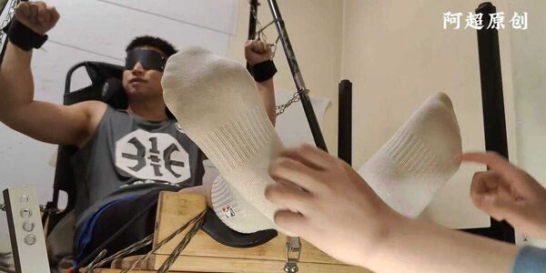 202601第三期精彩推荐